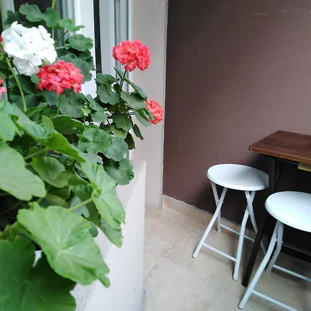 дом крумови Apartment *